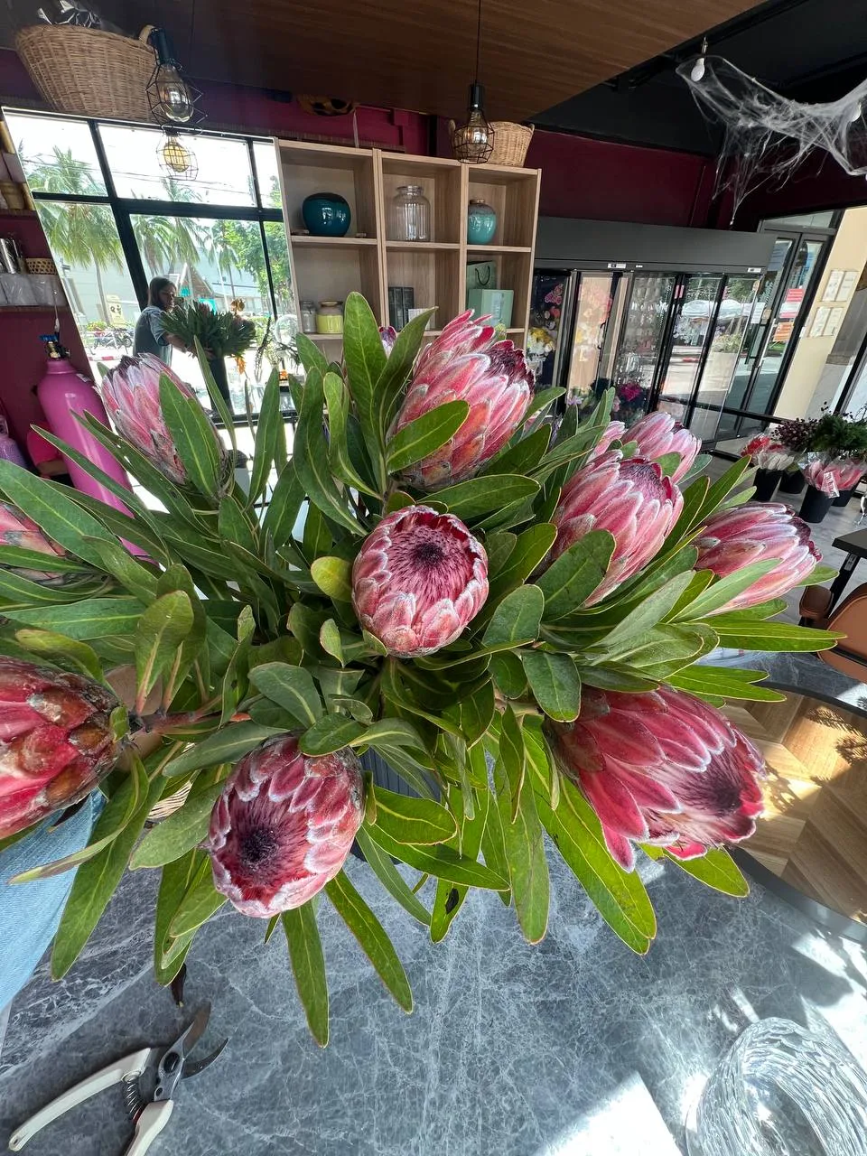 Bowl arrangement of pink pincushion proteas with long leaves on the studio counter.
